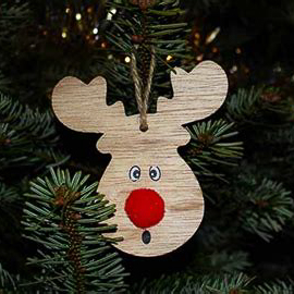 Photo: www.nzcompare.com